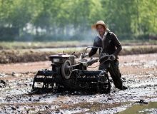 اجرای شخم زمستانه ۳۵ درصد از اراضی شالیزاری شفت