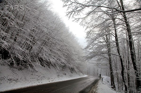 ورود سامانه بارشی جدید به کشور/ نوار شمالی و غربی در انتظار برف و باران