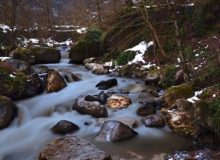 طبیعت زیبای شفت