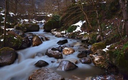 طبیعت زیبای شفت