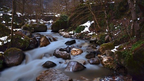 طبیعت زیبای شفت