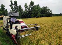 شفت در جمع سه شهرستان برتر گیلان در جذب تسهیلات مکانیزاسیون کشاورزی